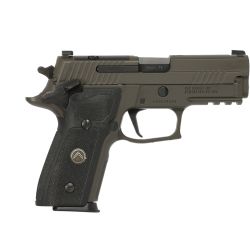 SIG P229 9MM 3.9 LEGION GRY 10RD SAO OR MA