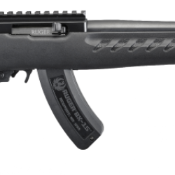 CHARGER 22LR BL/SY 15+1 TB