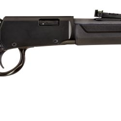 RIO BRAVO 22WMR BK/SY 20″ 12+1