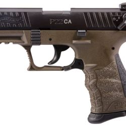 P22 MLTRY 22LR 10+1 3.4″ OD CA