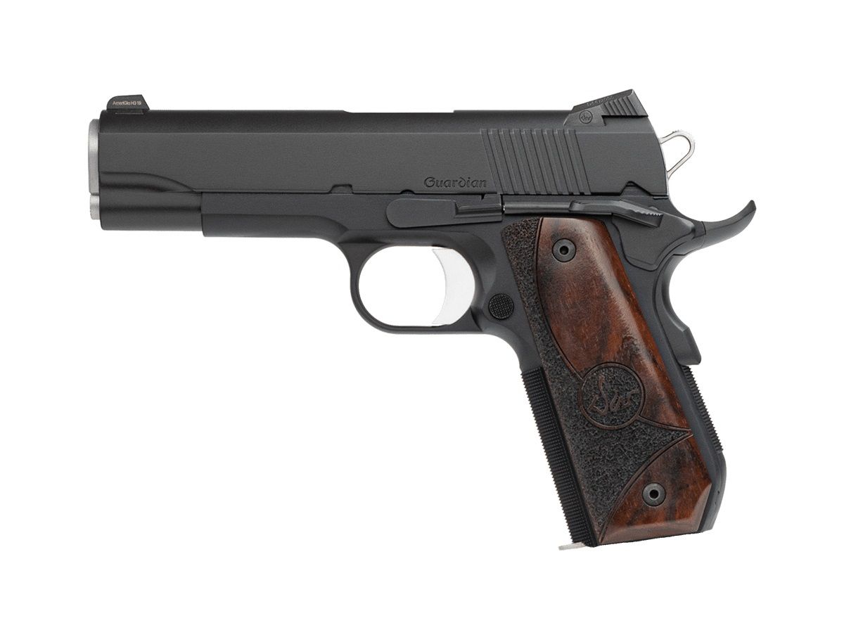 DW GUARDIAN 9MM 9+1