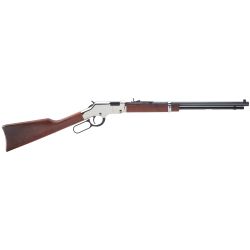 HENRY H4 GLDN BOY SLVR 17HMR 20″