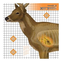 CHAMPION DEER X-RAY TARGET 6/PK