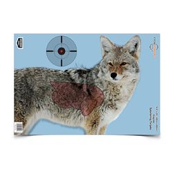 B/C PREGAME COYOTE TGT 3-16.5X24