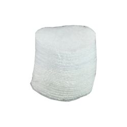 PRO-SHOT PATCH .22-.270CAL 1″ 300CT