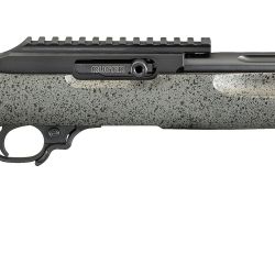 10/22 COMP 22LR BL/LAM 16″ TB