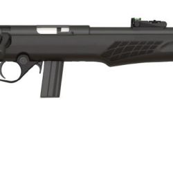 RB22 22LR BLK/SYN 18″ 10+1
