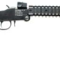 LITTLE BADGER 17HMR 16.5″