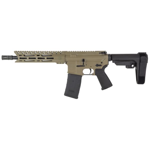 DBF DB15 300BLK 10″ 30RD FDE BRACE