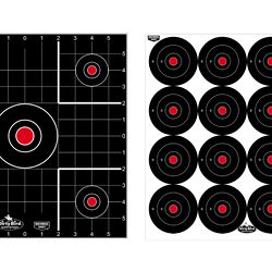 B/C DIRTY BIRD COMBO TARGETS 12PK